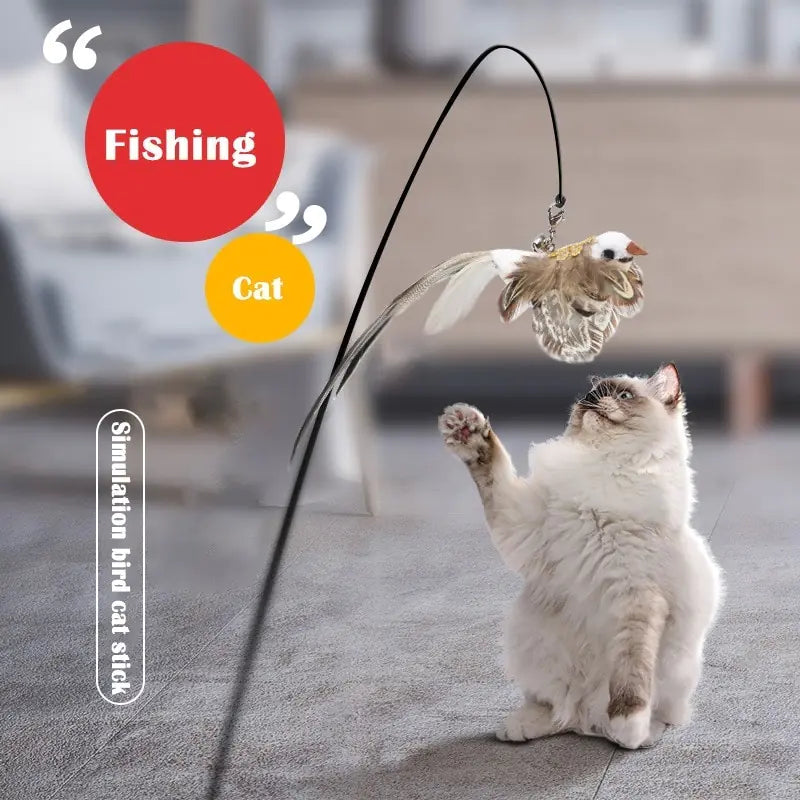 Cat toys online