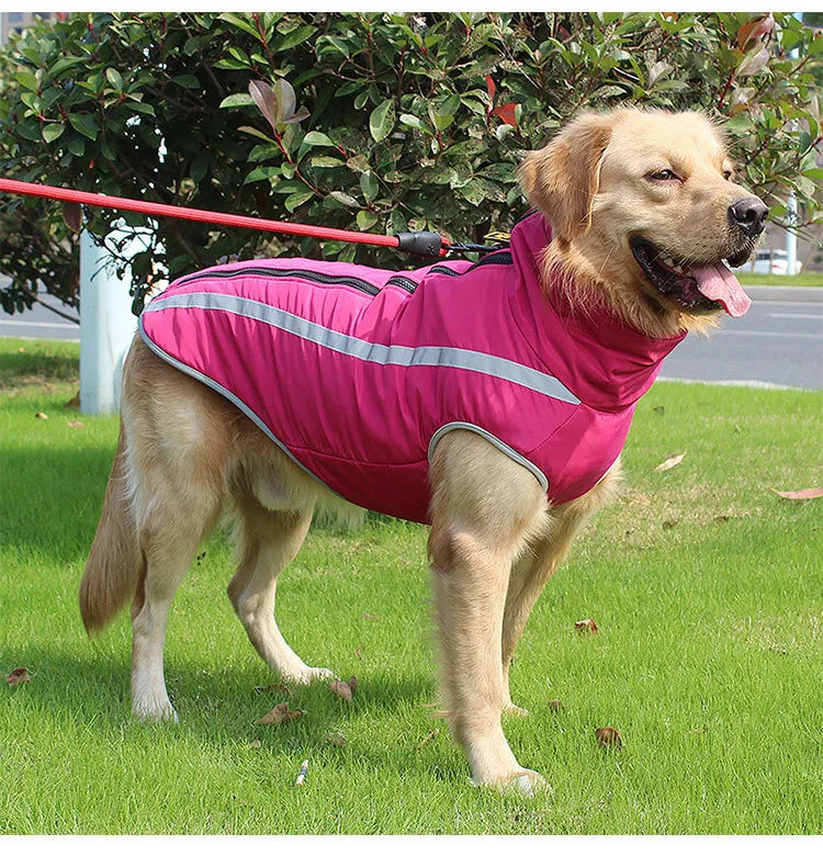 Thickened dog clothes windproof pet jacket