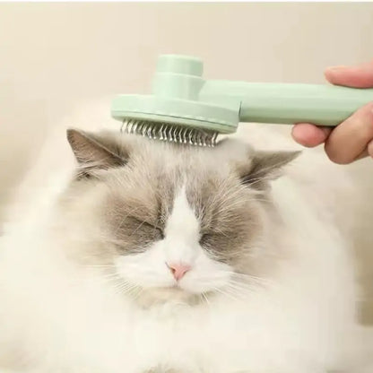 Cat Grooming Brush